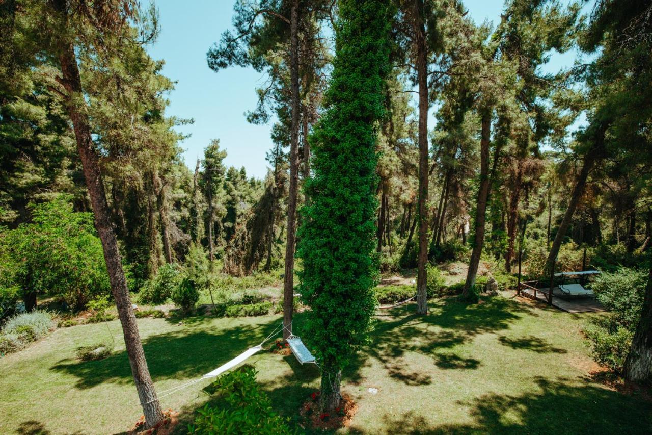 Beautiful Summerhouse In Sani'S Pine Forest Sani  Exteriér fotografie