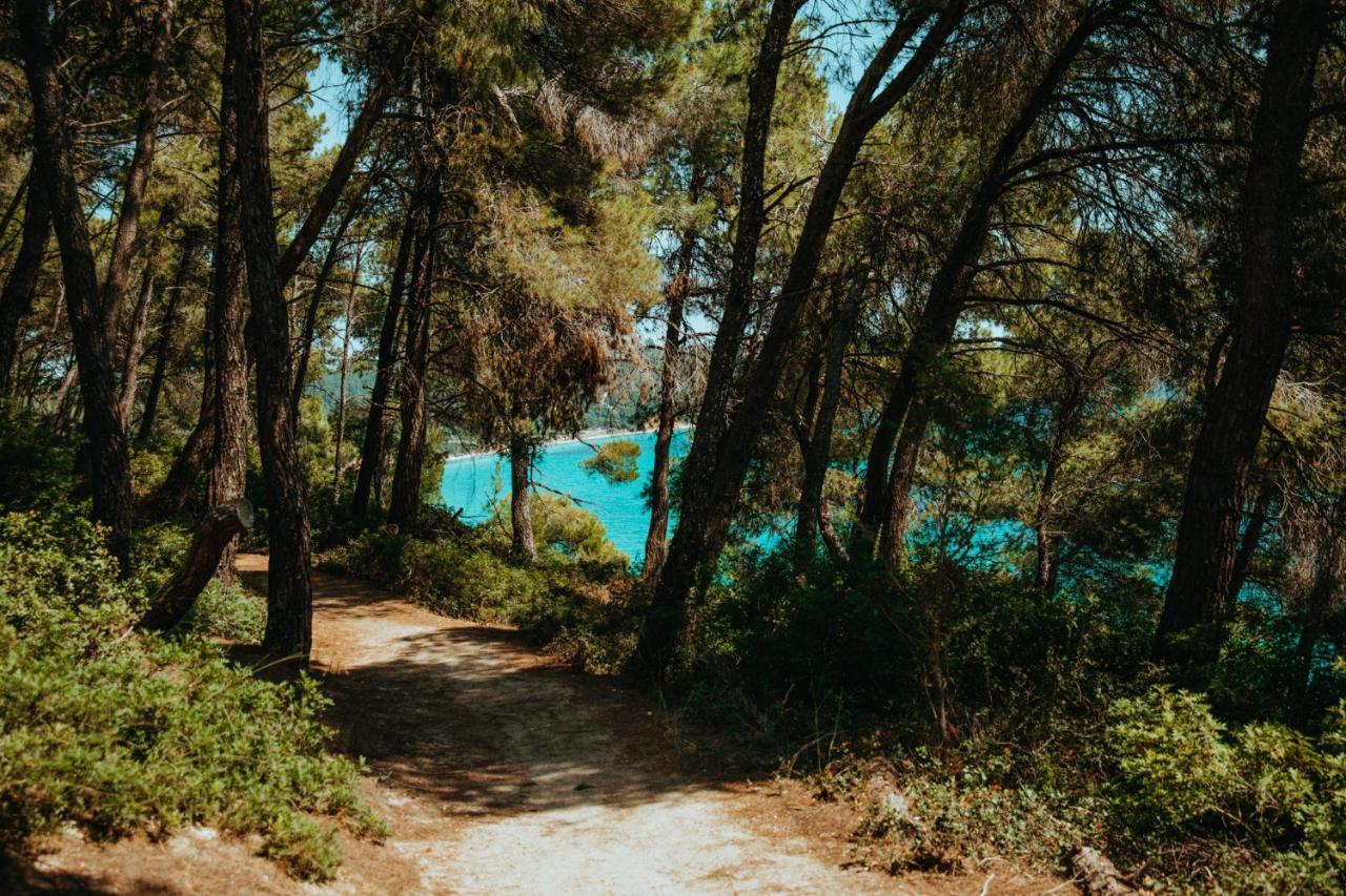 Beautiful Summerhouse In Sani'S Pine Forest Sani  Exteriér fotografie