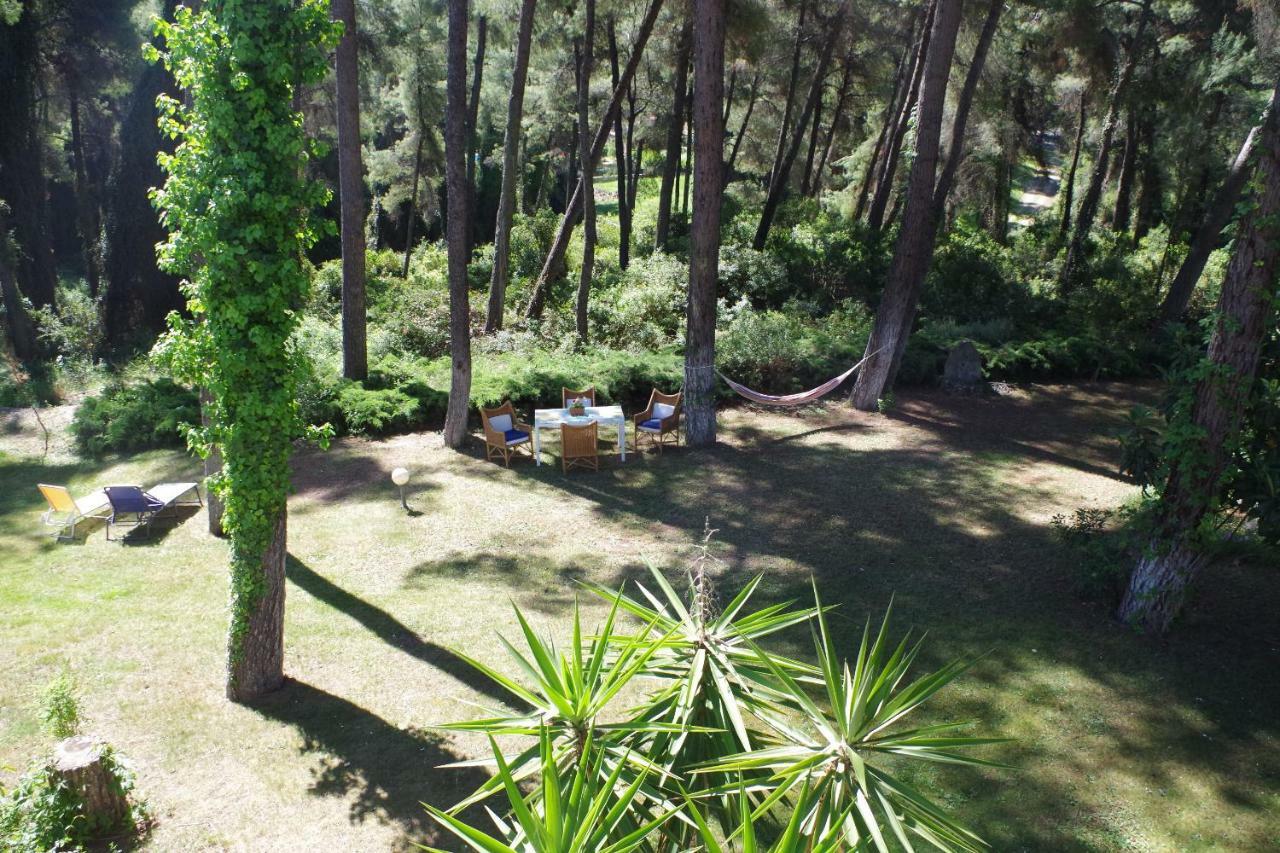 Beautiful Summerhouse In Sani'S Pine Forest Sani  Exteriér fotografie